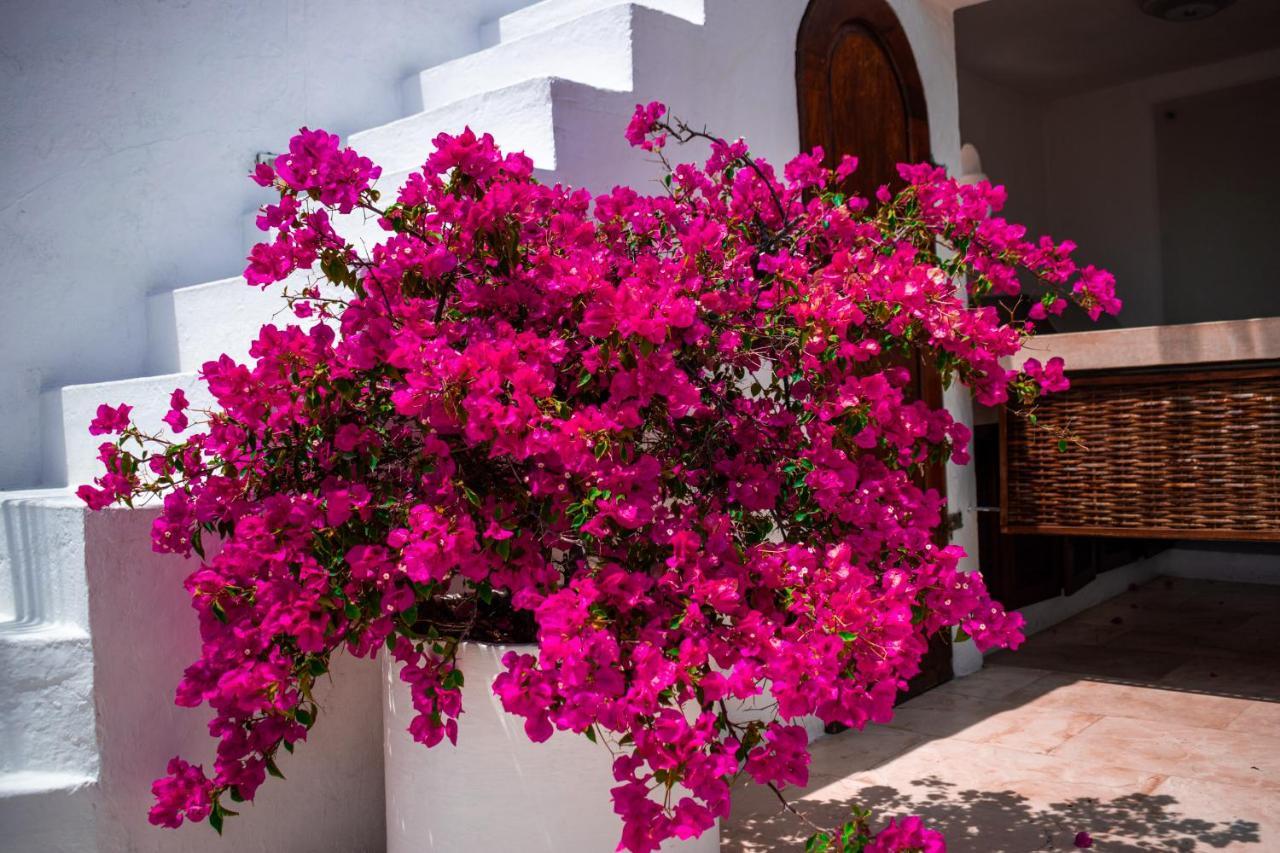 Hotel Aguamarina Boutique (Adults Only) Cartagena Kültér fotó
